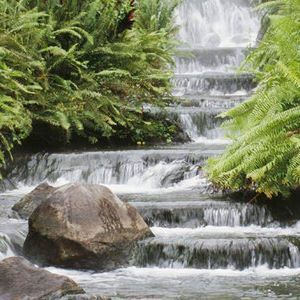 Meet your Posher, Caron